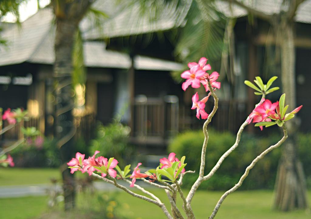 Aman Gati Balangan Hotel Pecatu Exterior foto